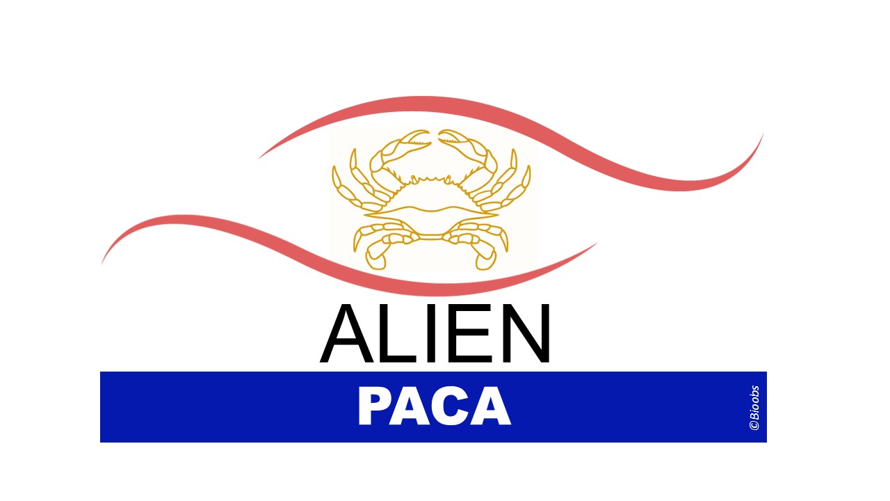 Logo ALIEN PACA