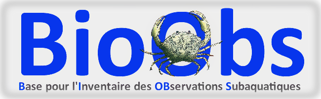 Carnet de plongée Carnet de plongée